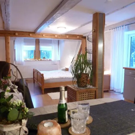Апартаменты Ferienwohnung Wildenreuth Weidenberg